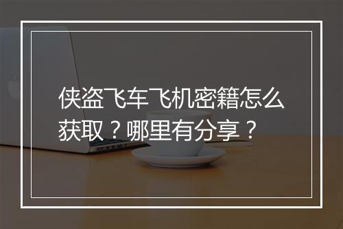 侠盗飞车飞机密籍怎么获取？哪里有分享？