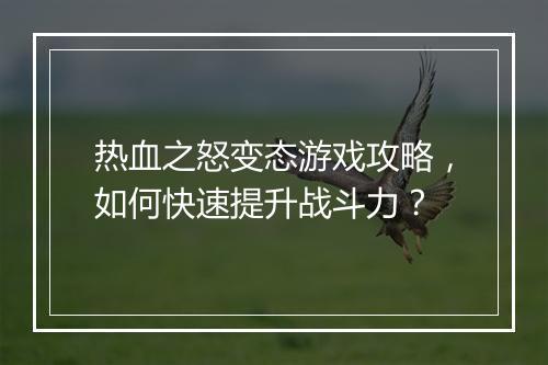 热血之怒变态游戏攻略，如何快速提升战斗力？