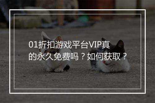 01折扣游戏平台VIP真的永久免费吗？如何获取？