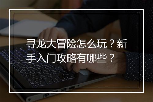 寻龙大冒险怎么玩？新手入门攻略有哪些？
