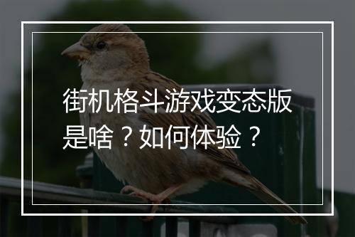 街机格斗游戏变态版是啥？如何体验？