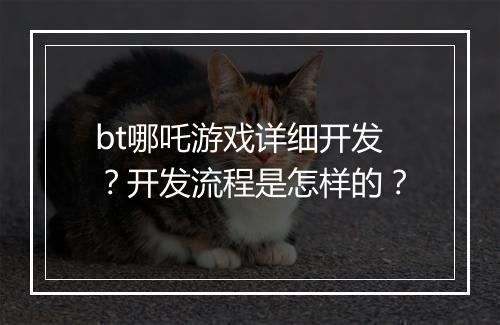 bt哪吒游戏详细开发？开发流程是怎样的？