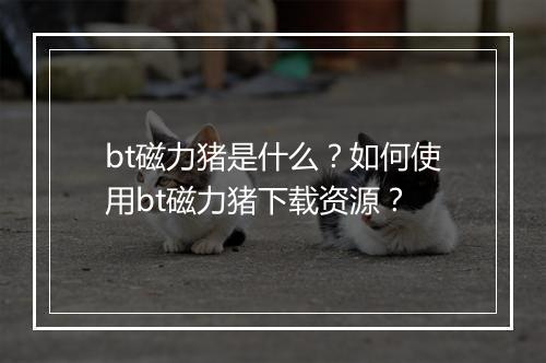 bt磁力猪是什么？如何使用bt磁力猪下载资源？