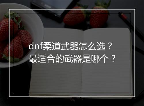 dnf柔道武器怎么选？最适合的武器是哪个？