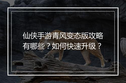 仙侠手游青风变态版攻略有哪些？如何快速升级？