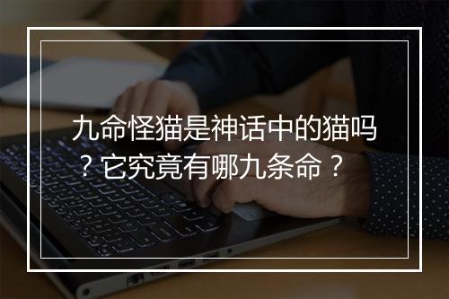 九命怪猫是神话中的猫吗？它究竟有哪九条命？