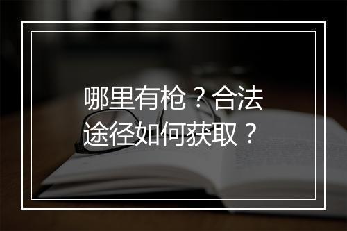哪里有枪？合法途径如何获取？