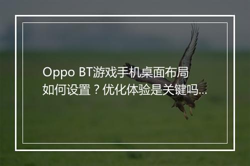 Oppo BT游戏手机桌面布局如何设置？优化体验是关键吗？