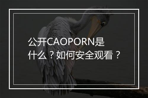 公开CAOPORN是什么?如何安全观看?