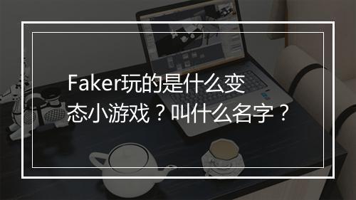 Faker玩的是什么变态小游戏？叫什么名字？