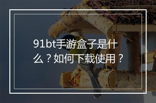 91bt手游盒子是什么？如何下载使用？
