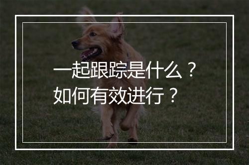一起跟踪是什么？如何有效进行？