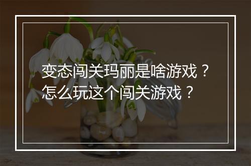 变态闯关玛丽是啥游戏?怎么玩这个闯关游戏?