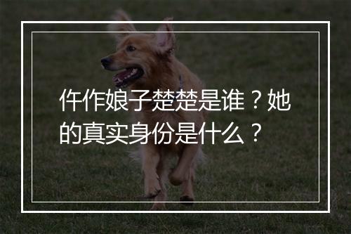 仵作娘子楚楚是谁?她的真实身份是什么?