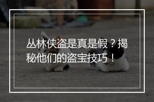 丛林侠盗是真是假？揭秘他们的盗宝技巧！