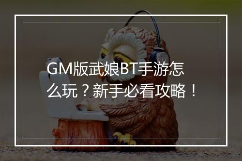 GM版武娘BT手游怎么玩?新手必看攻略!
