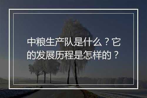 中粮生产队是什么？它的发展历程是怎样的？
