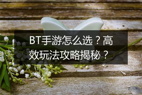 BT手游怎么选？高效玩法攻略揭秘？