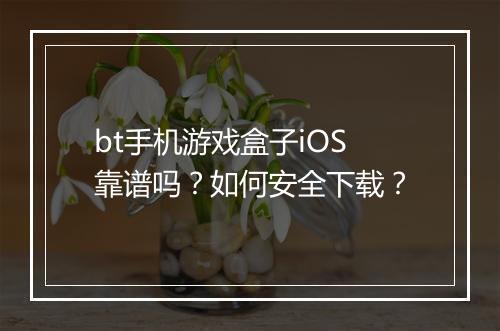 bt手机游戏盒子iOS靠谱吗?如何安全下载?