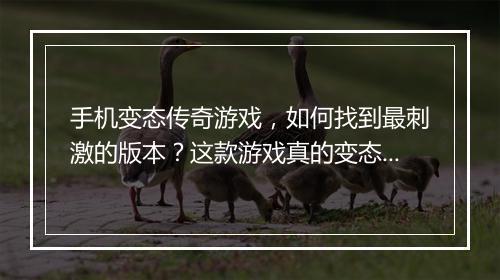 手机变态传奇游戏，如何找到最刺激的版本？这款游戏真的变态吗？