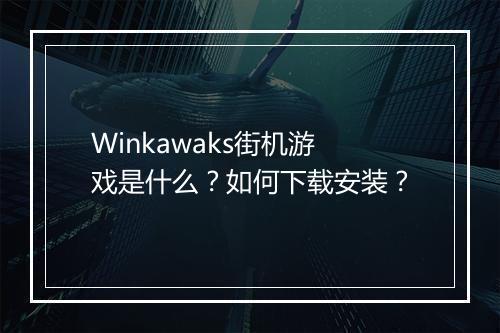 Winkawaks街机游戏是什么？如何下载安装？