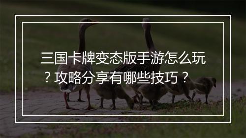 三国卡牌变态版手游怎么玩？攻略分享有哪些技巧？
