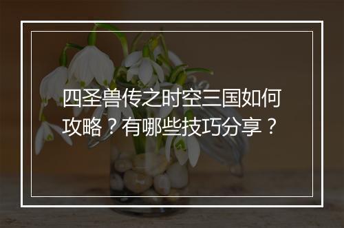 四圣兽传之时空三国如何攻略？有哪些技巧分享？