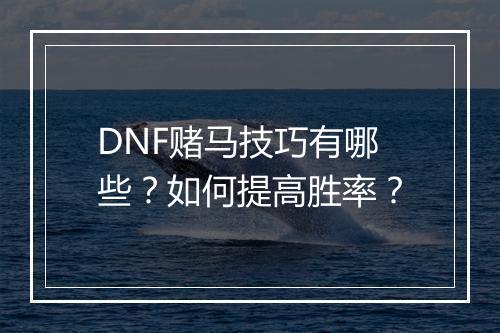 DNF赌马技巧有哪些？如何提高胜率？