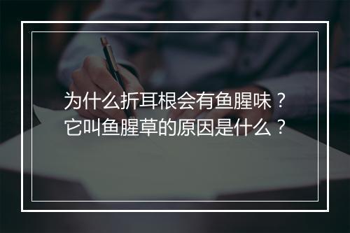 为什么折耳根会有鱼腥味？它叫鱼腥草的原因是什么？