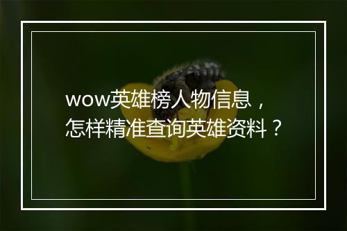 wow英雄榜人物信息，怎样精准查询英雄资料？