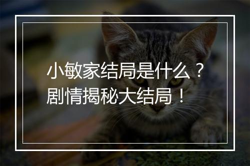 小敏家结局是什么？剧情揭秘大结局！