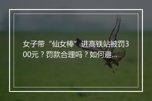 女子带“仙女棒”进高铁站被罚300元？罚款合理吗？如何避免？