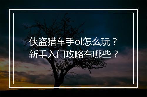 侠盗猎车手ol怎么玩?新手入门攻略有哪些?