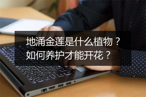 地涌金莲是什么植物？如何养护才能开花？
