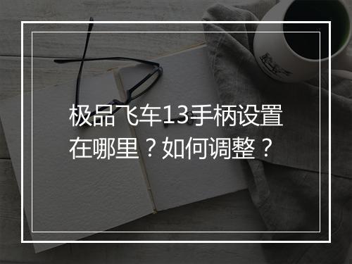 极品飞车13手柄设置在哪里？如何调整？