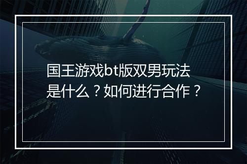 国王游戏bt版双男玩法是什么？如何进行合作？