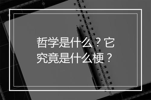 哲学是什么？它究竟是什么梗？