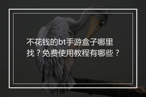 不花钱的bt手游盒子哪里找？免费使用教程有哪些？