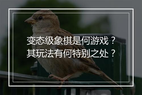 变态级象棋是何游戏?其玩法有何特别之处?