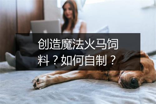 创造魔法火马饲料？如何自制？