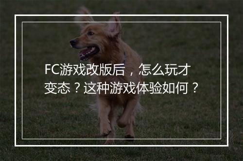FC游戏改版后,怎么玩才变态?这种游戏体验如何?