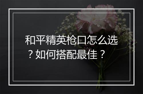 和平精英枪口怎么选？如何搭配最佳？