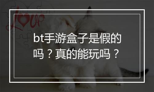 bt手游盒子是假的吗？真的能玩吗？