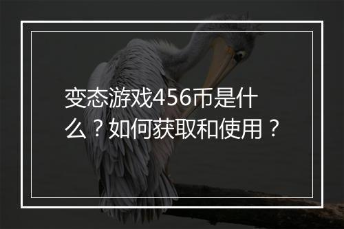 变态游戏456币是什么？如何获取和使用？
