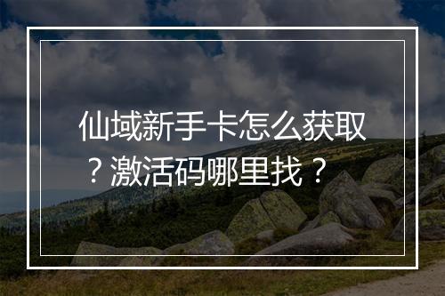 仙域新手卡怎么获取？激活码哪里找？