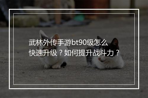 武林外传手游bt90级怎么快速升级?如何提升战斗力?
