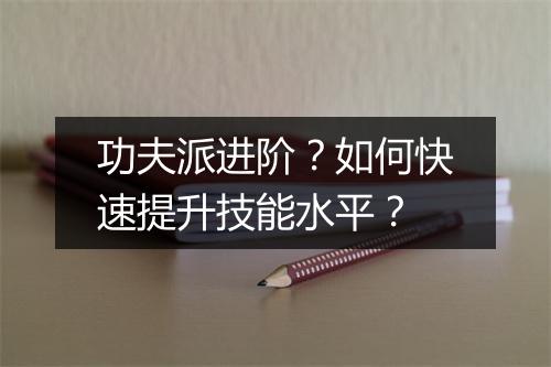 功夫派进阶?如何快速提升技能水平?