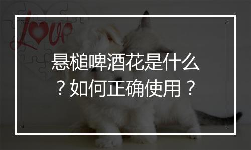 悬槌啤酒花是什么？如何正确使用？