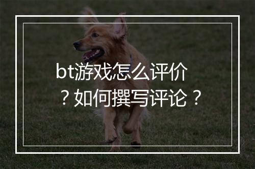 bt游戏怎么评价？如何撰写评论？