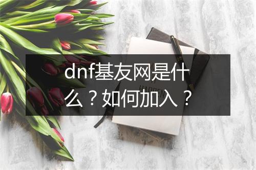 dnf基友网是什么？如何加入？